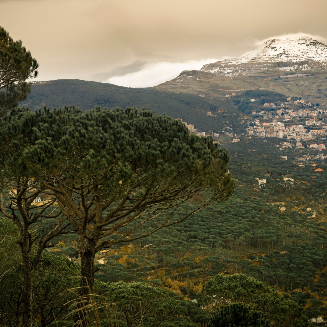 Important Plant Areas of Lebanon Plantlife