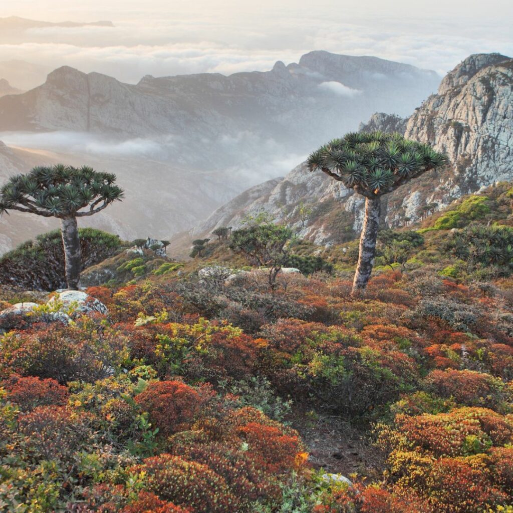 Mountainous landscape with vegetation