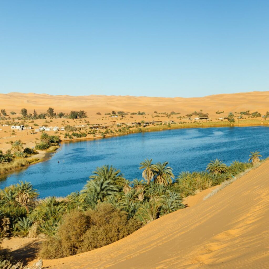 Oasis in the desert