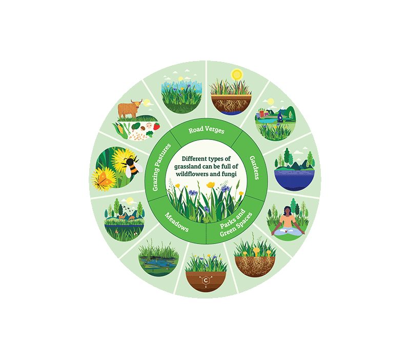 grassland benefits 11 illustrations in a wheel