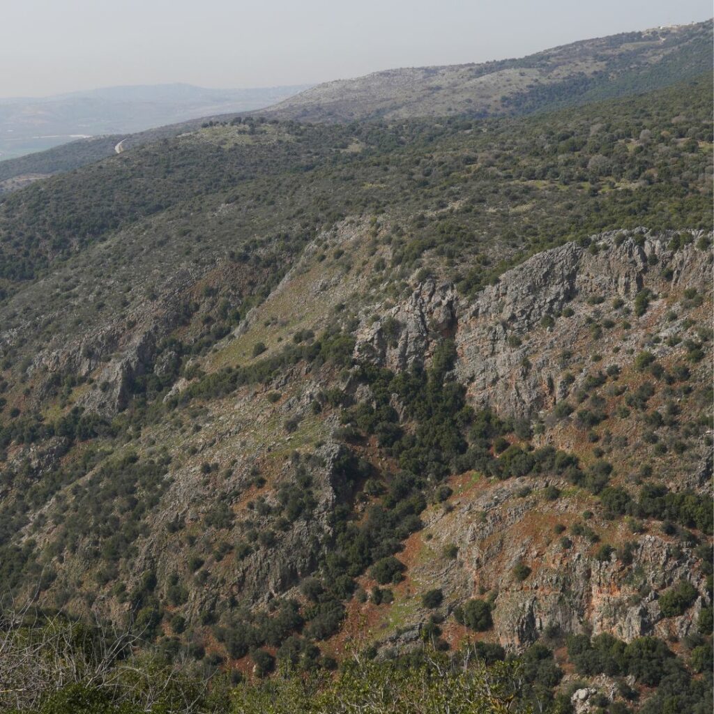 Mountainous region