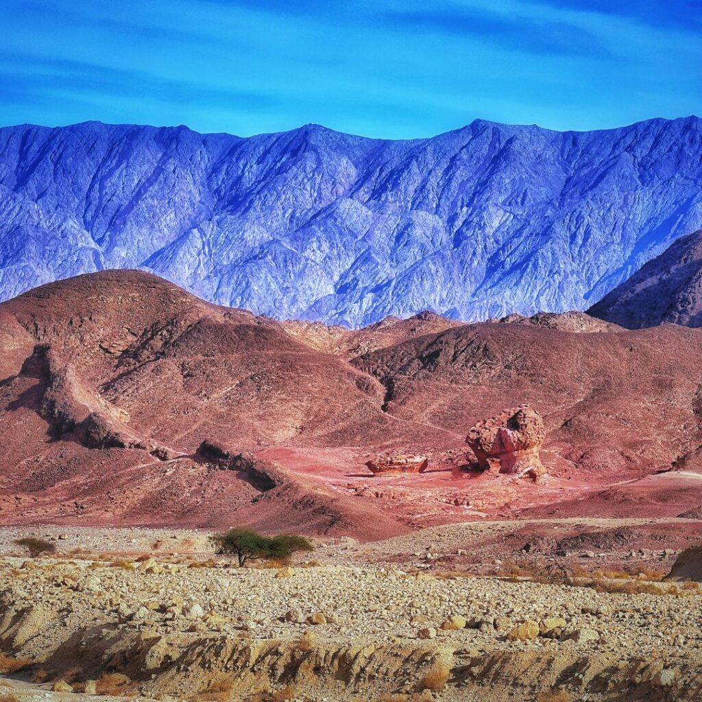Arid Mountains