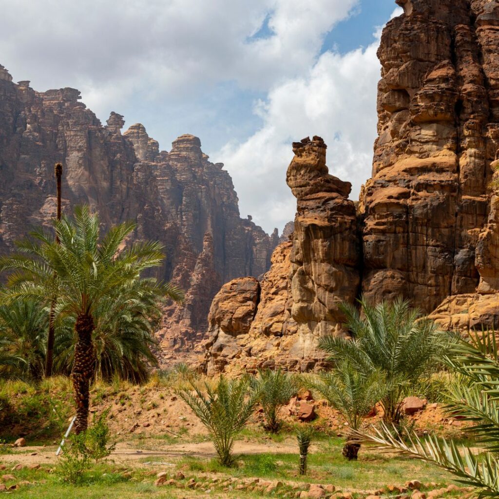 Arid rocky landscape with palm trees