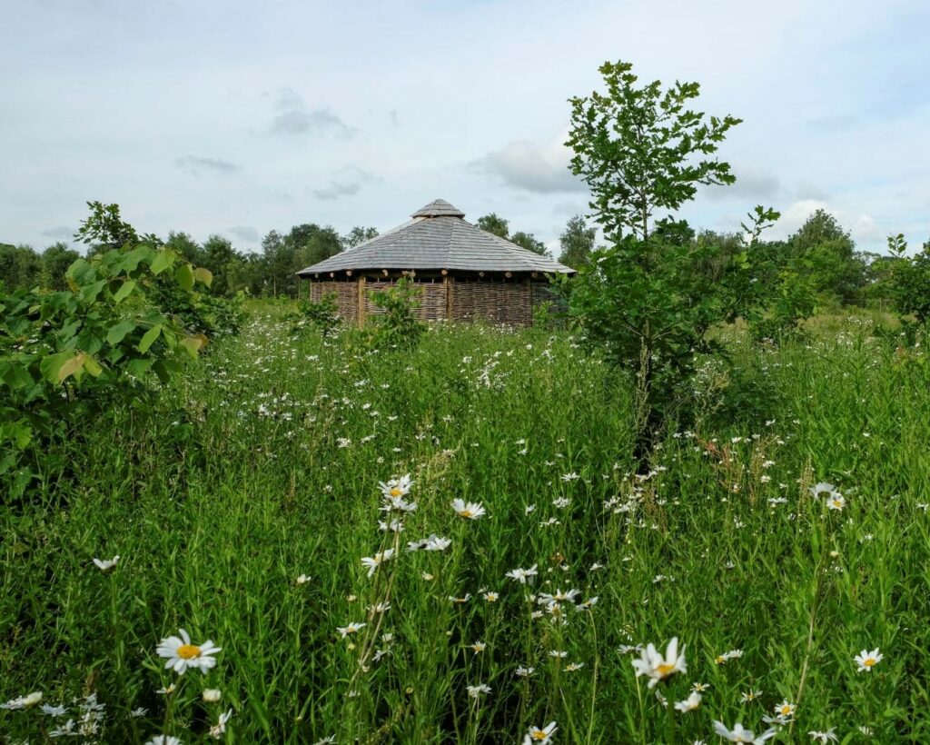 A roundhouse surrounded by wildflower meadow and small trees