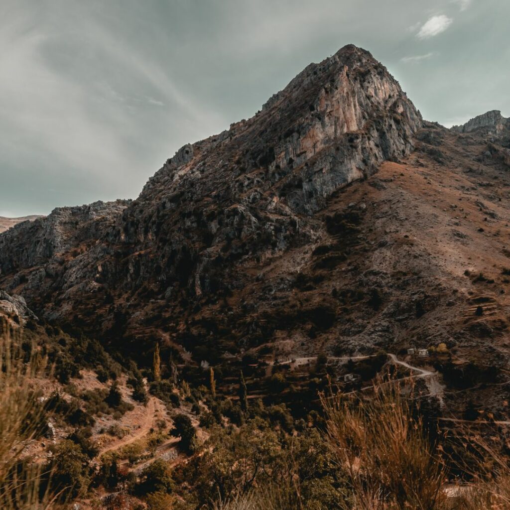 Mountain
