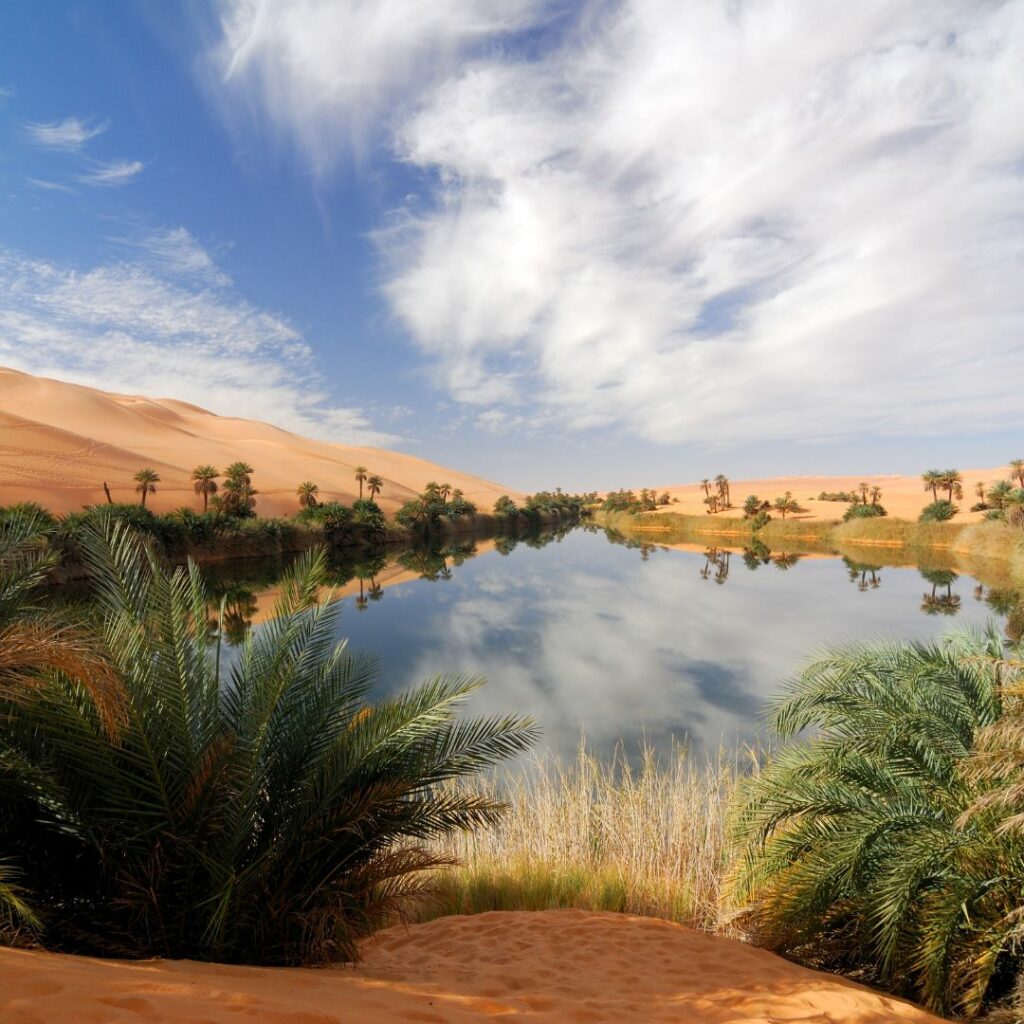 Oasis in the desert with vegtation around the edge