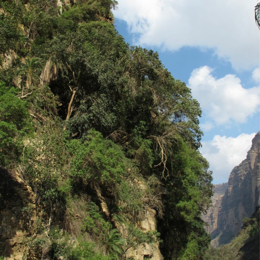 Valley rock face with green vegetation
