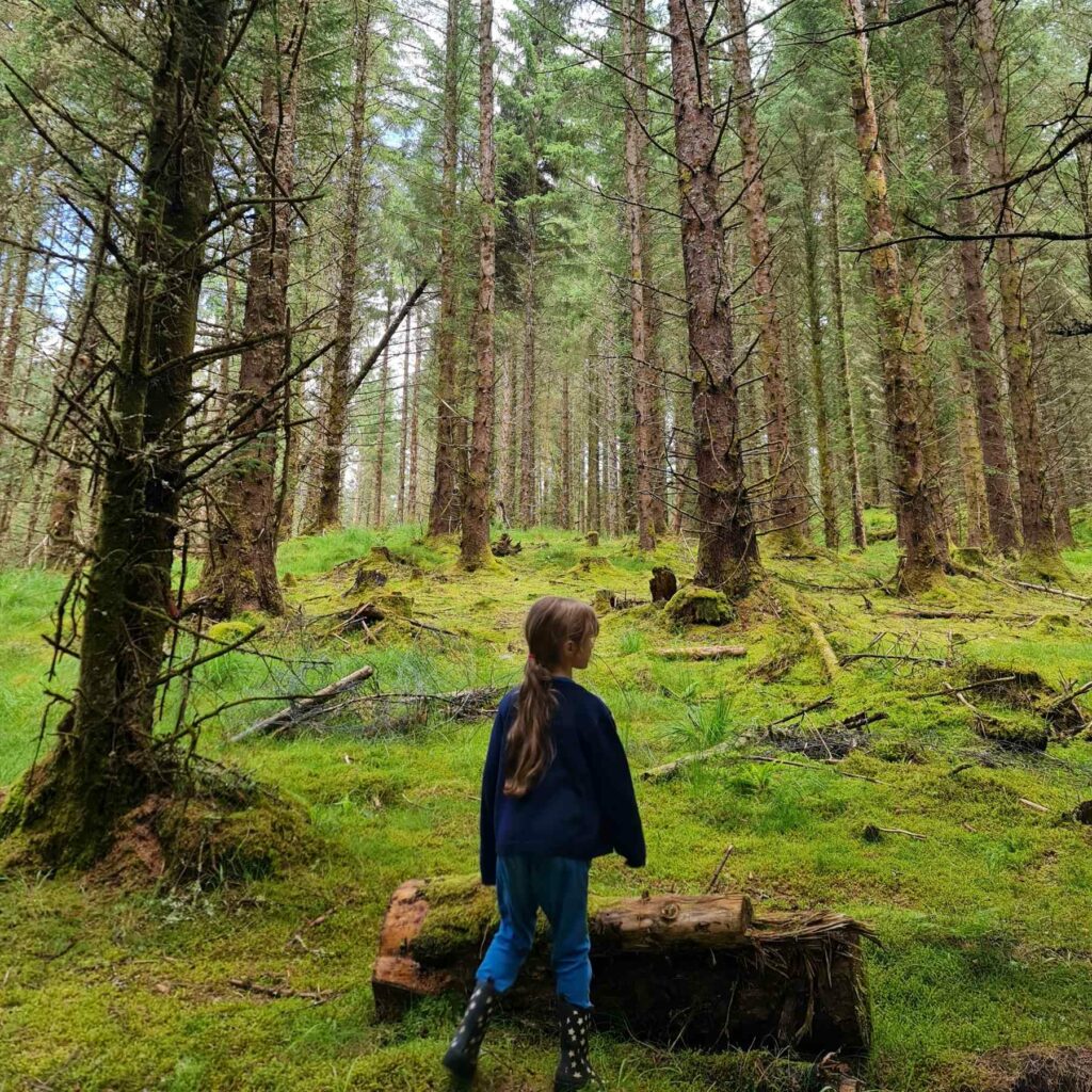 A child walking through a woodland