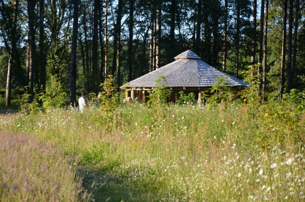 A building sits in a backdrop of tall meadow flowers and plants, with trees in the background