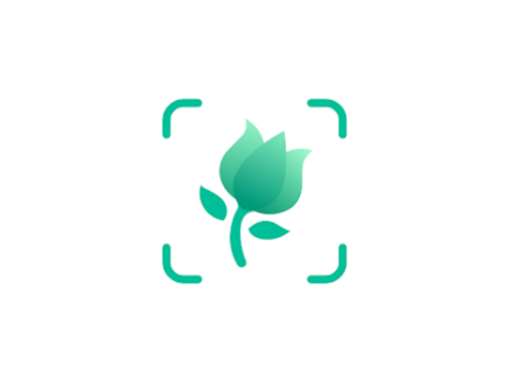 picture this logo