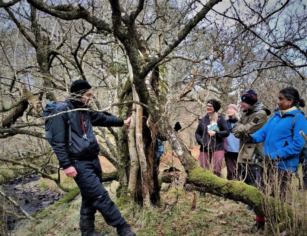A group of people in winter clothes are stood in a forest looking at a tree