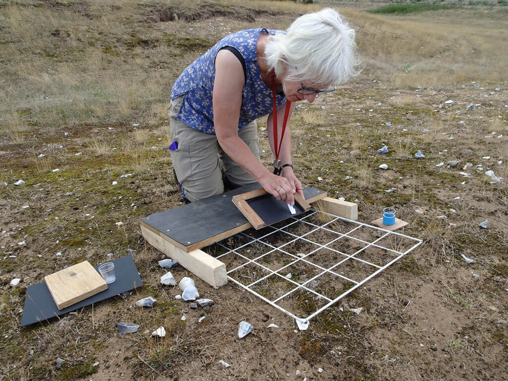A woman wearing a blue vest top is kneeling on a dry sandy ground with a variety of rocks and equipment