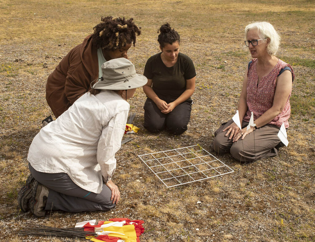 Four people are kneeling on a brown dry ground surrounding a square on the ground