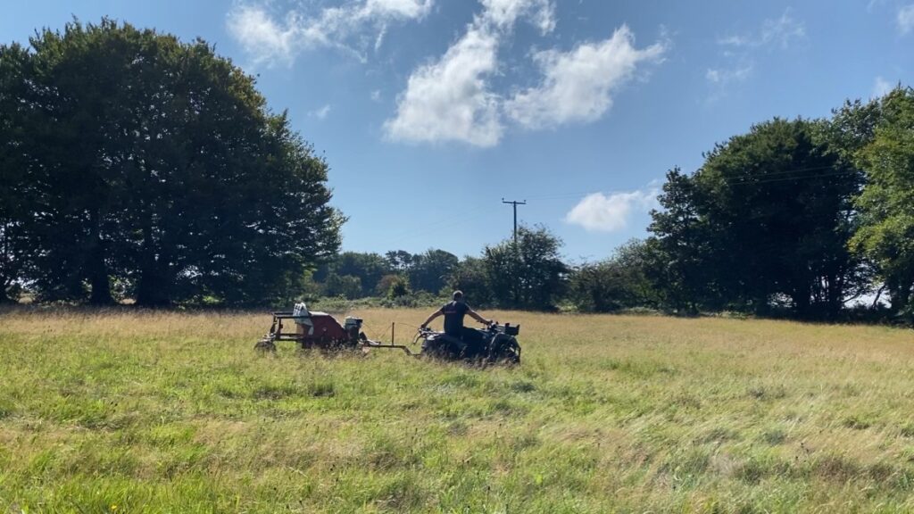 Brush harvester at Beechwood