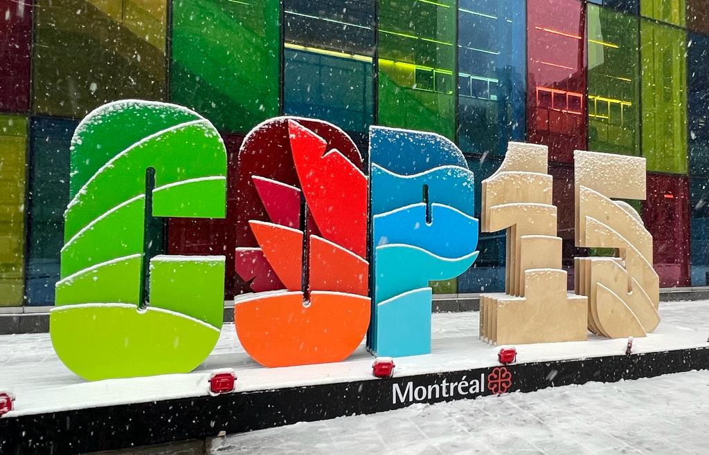 Snow is falling on a 3D colourful sign that says COP15 outside of a colourful glass building