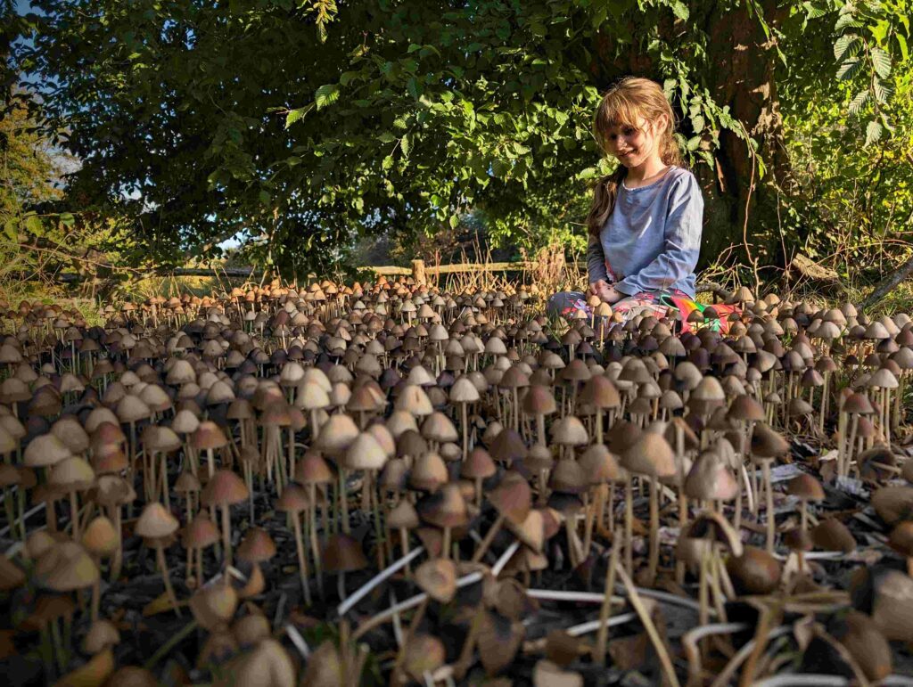 Girl looking at fungi
