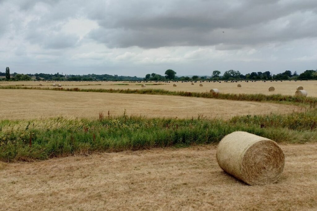 Hay bales at Lower Lugg Meadow