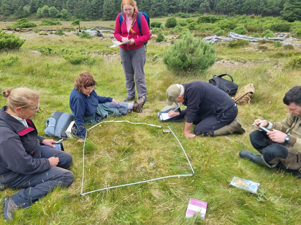 A group of people sat on grass surrounding a quadrant marked on the grass