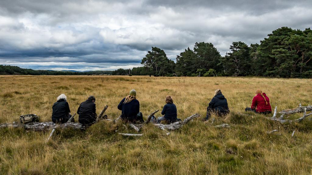 A group of people sat with their backs to the camera on a dry log in a brown grass field
