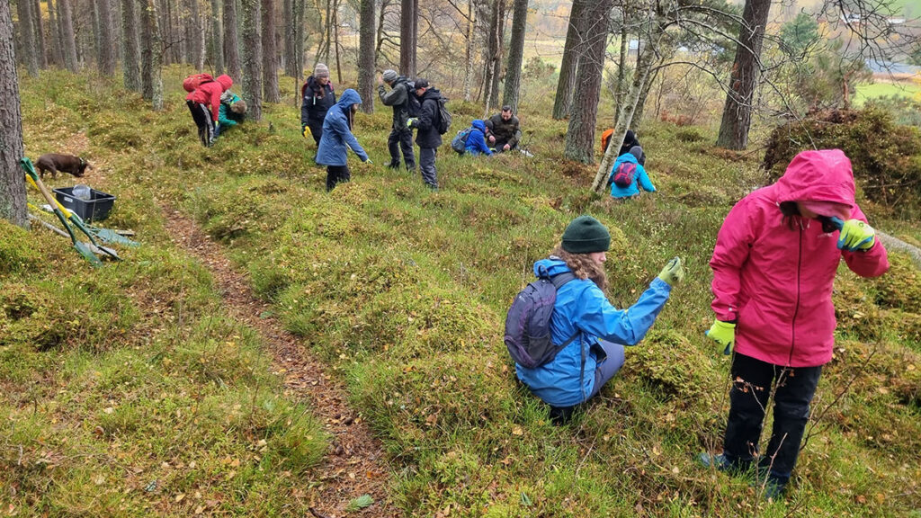 A group of people with raincoats on are spread throughout a forest