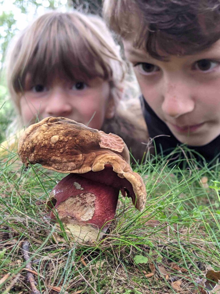 Children looking at fungus