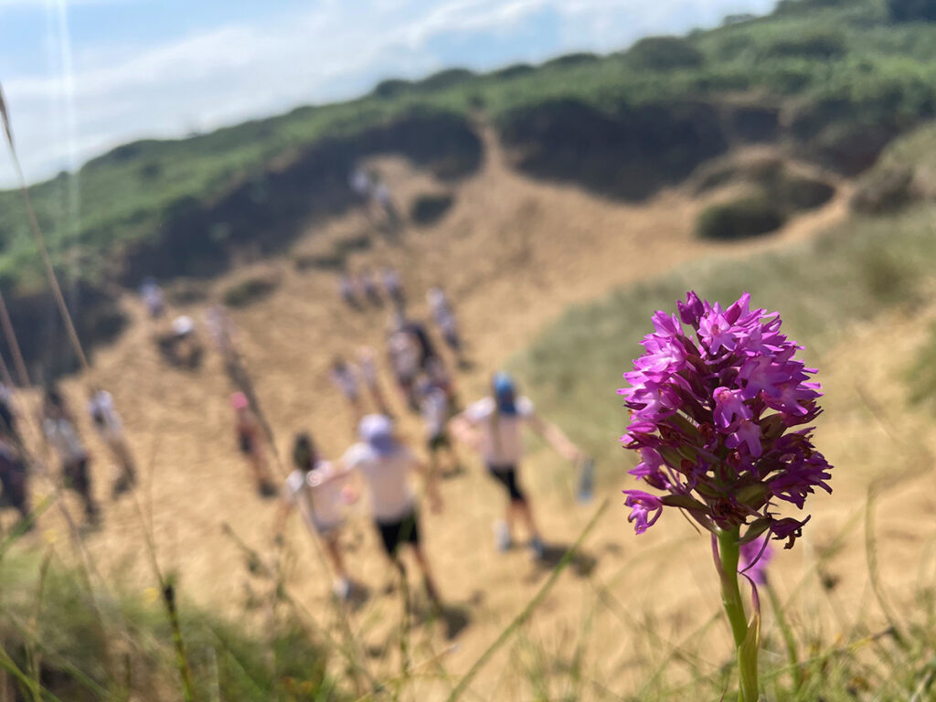 A purple orchid in the foreground and a group of children at a sand dune in the background