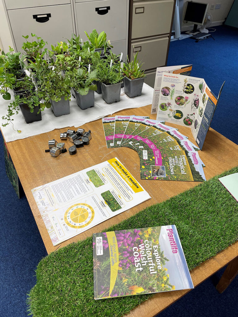 A desk with potted plants, leaflets and guides for a training event