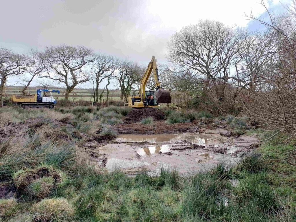 Landscape shot of a yellow JCB digger digging a muddy, watery patch in amongst shrubbery
