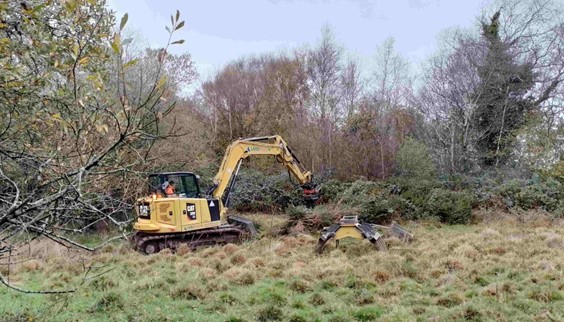 A yellow JCB machinery amongst shrubbery