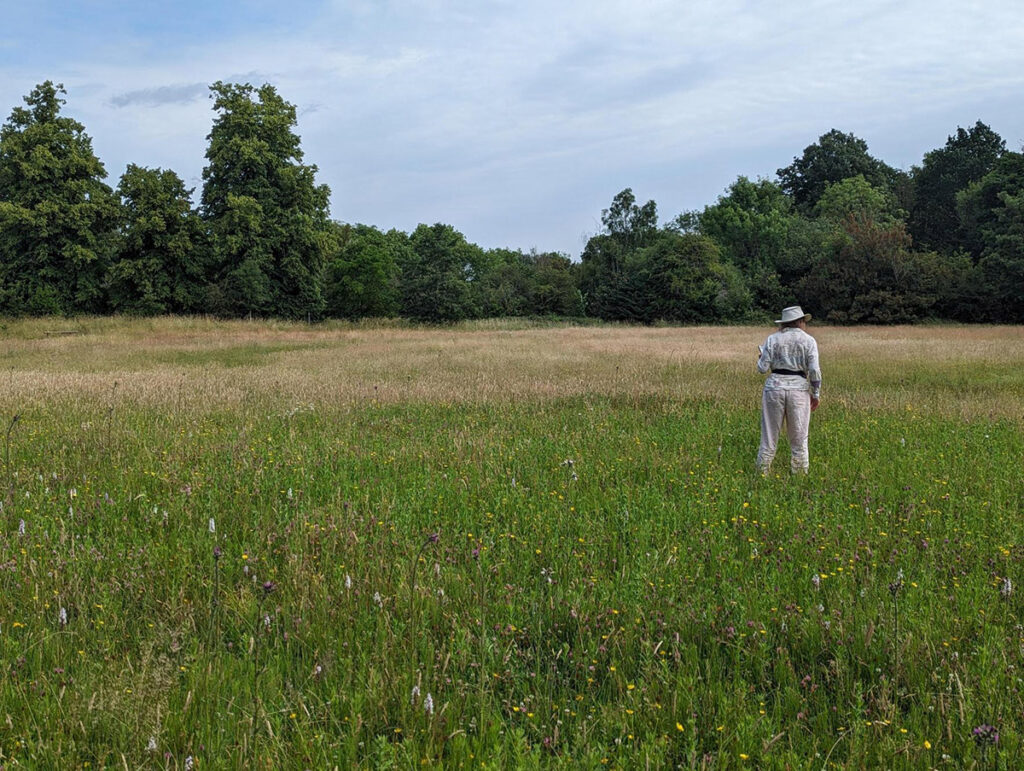 A landscape of a woman stood in a meadow in the distance
