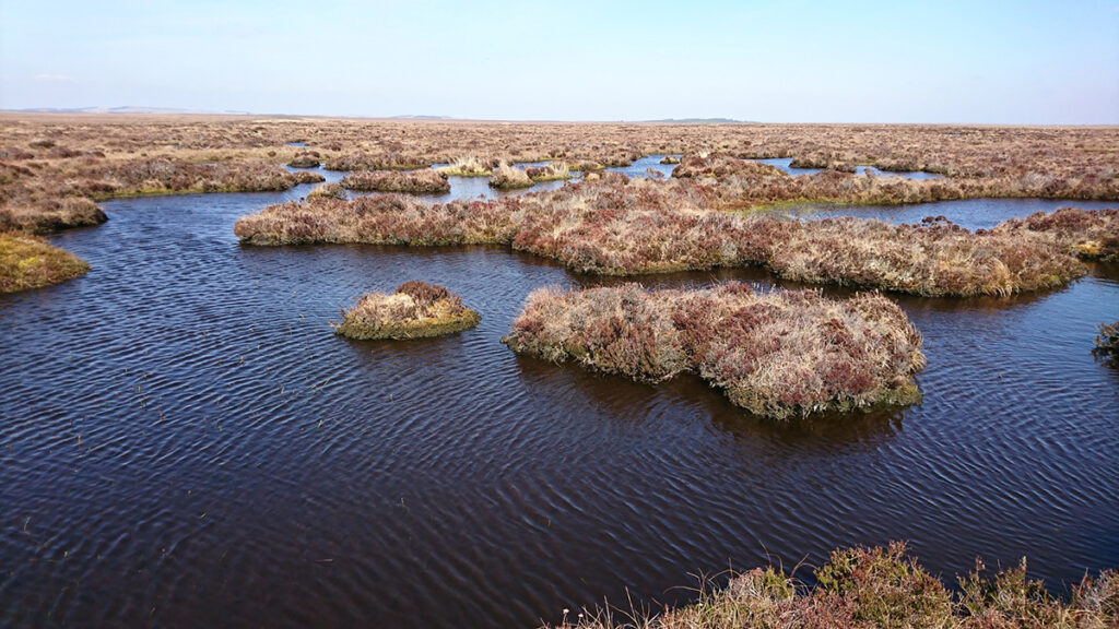 Landscape image of water rippling against the peatland on a cold overcast day
