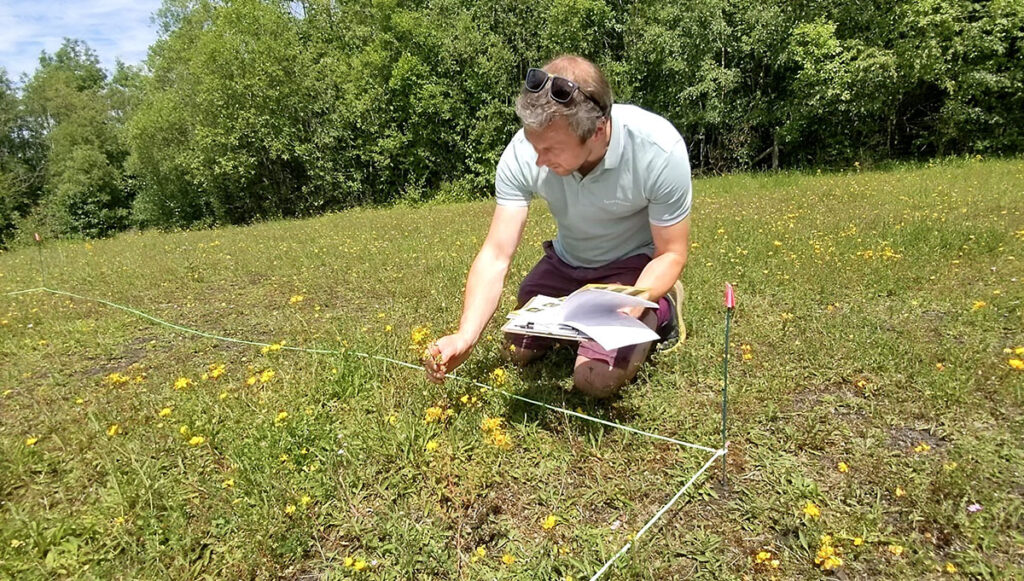 A man kneeling in a field holding a clipboard with papers investigated a quadrant marked in the grass