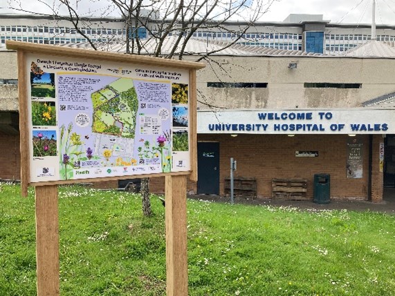 A wooden sign with a map of a walking route outside of the University Hospital of Wales entrance