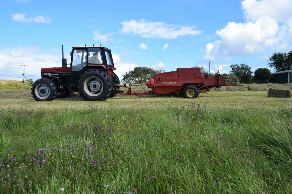 Small square hay bailer in field