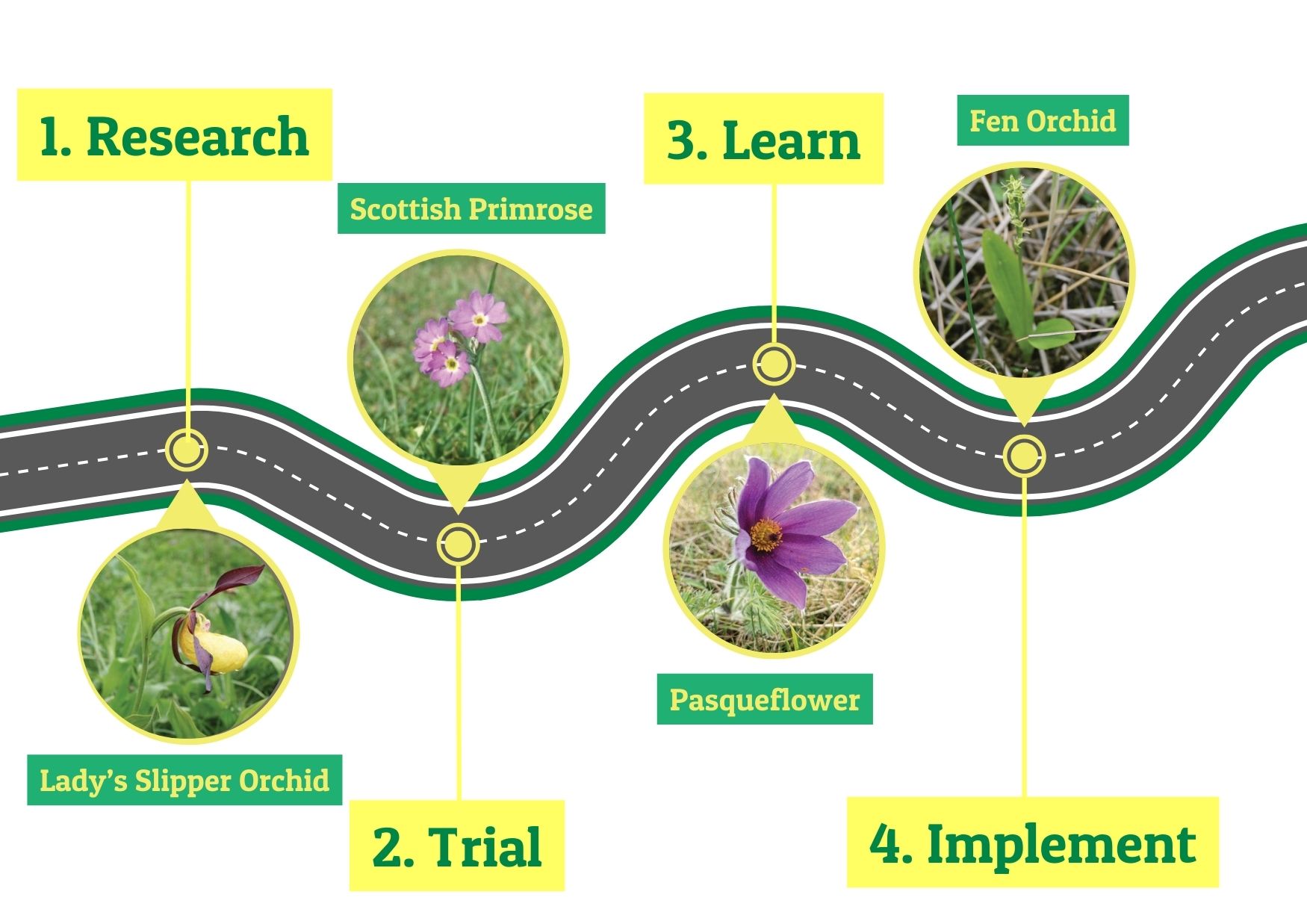 Plantlife conservation road map illustration 