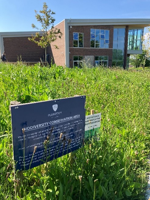 College sign on grass