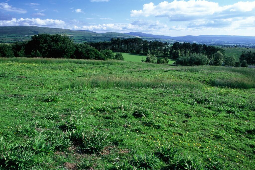 Augill Pasture looking beautiful under blue skies