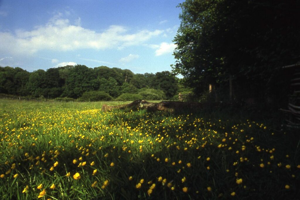 Looking out over Furnace Meadow and Brick Kiln Rough