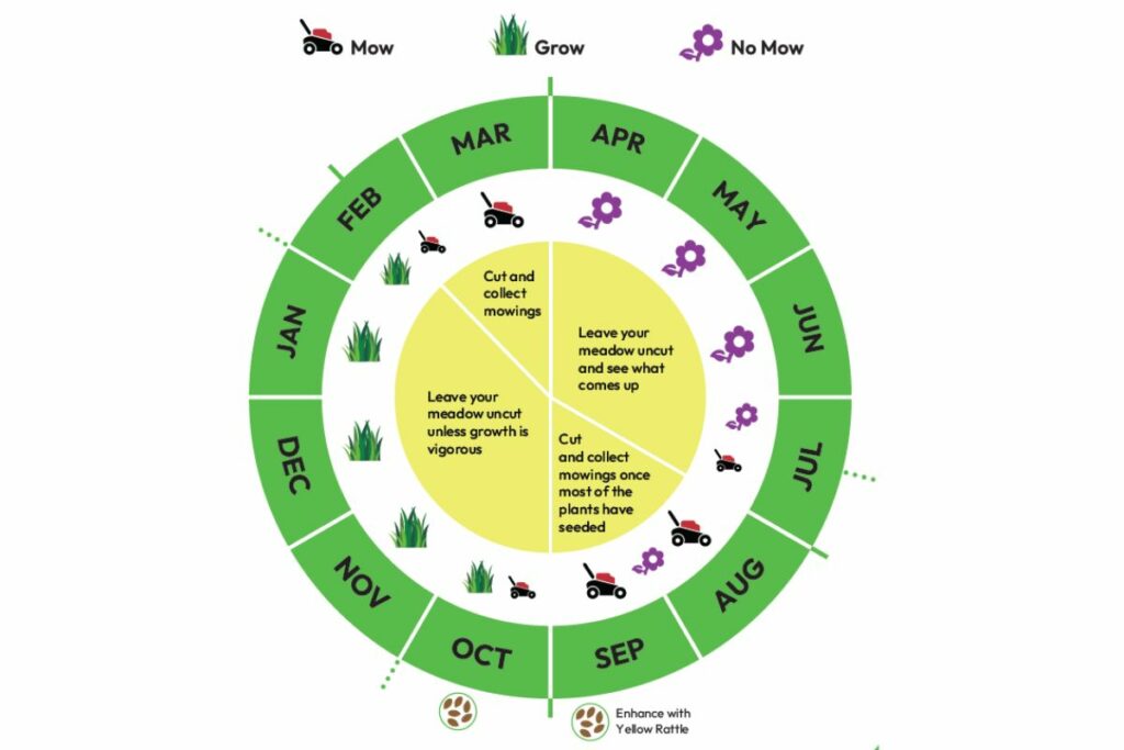 A graphic demonstrating how to manage your meadow month by month