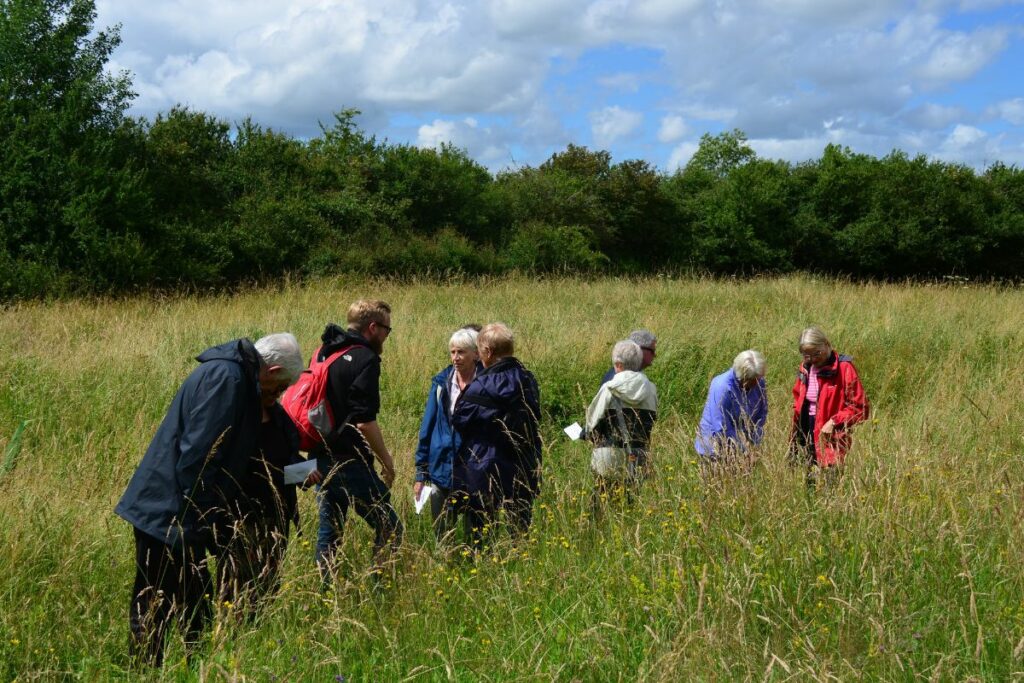 A group of people gathered in a meadow during an open day at Stockwood Meadows