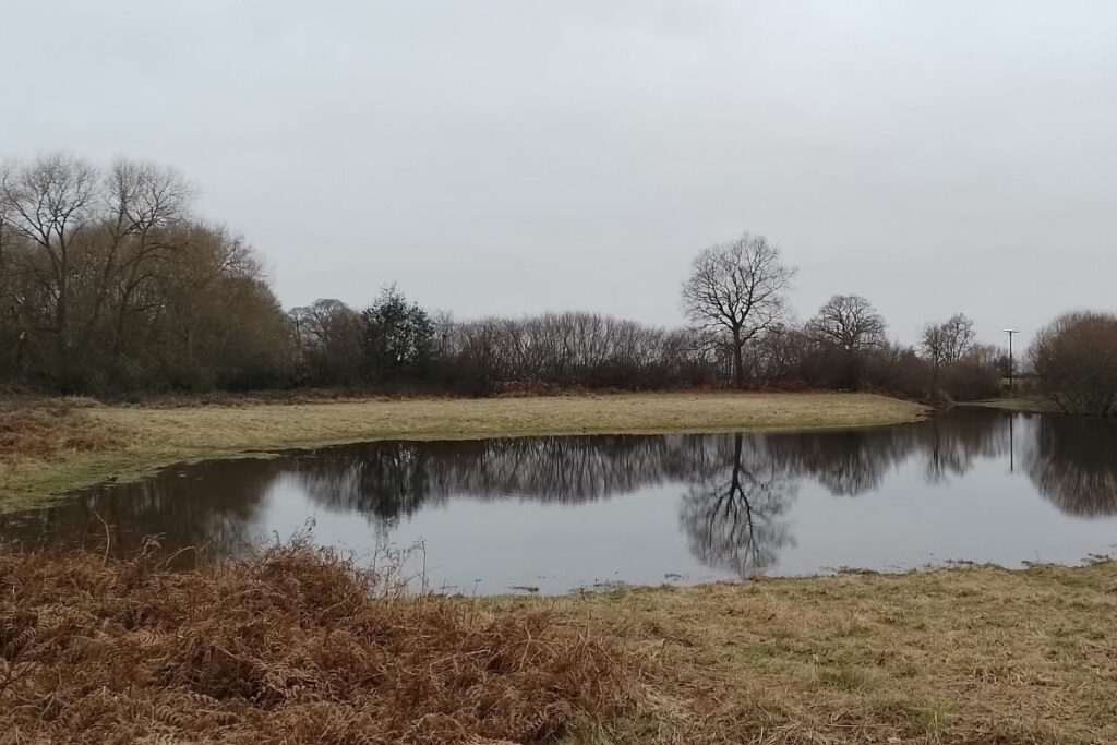 One of the seasonal ponds at Davies Meadows