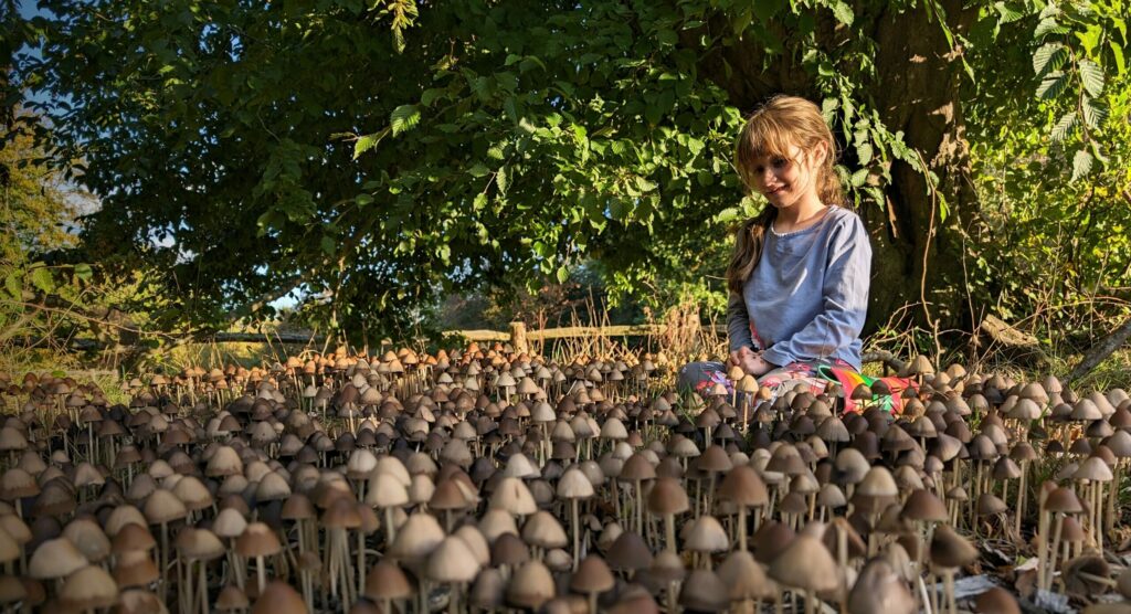 Girl sits among a group of inkcaps