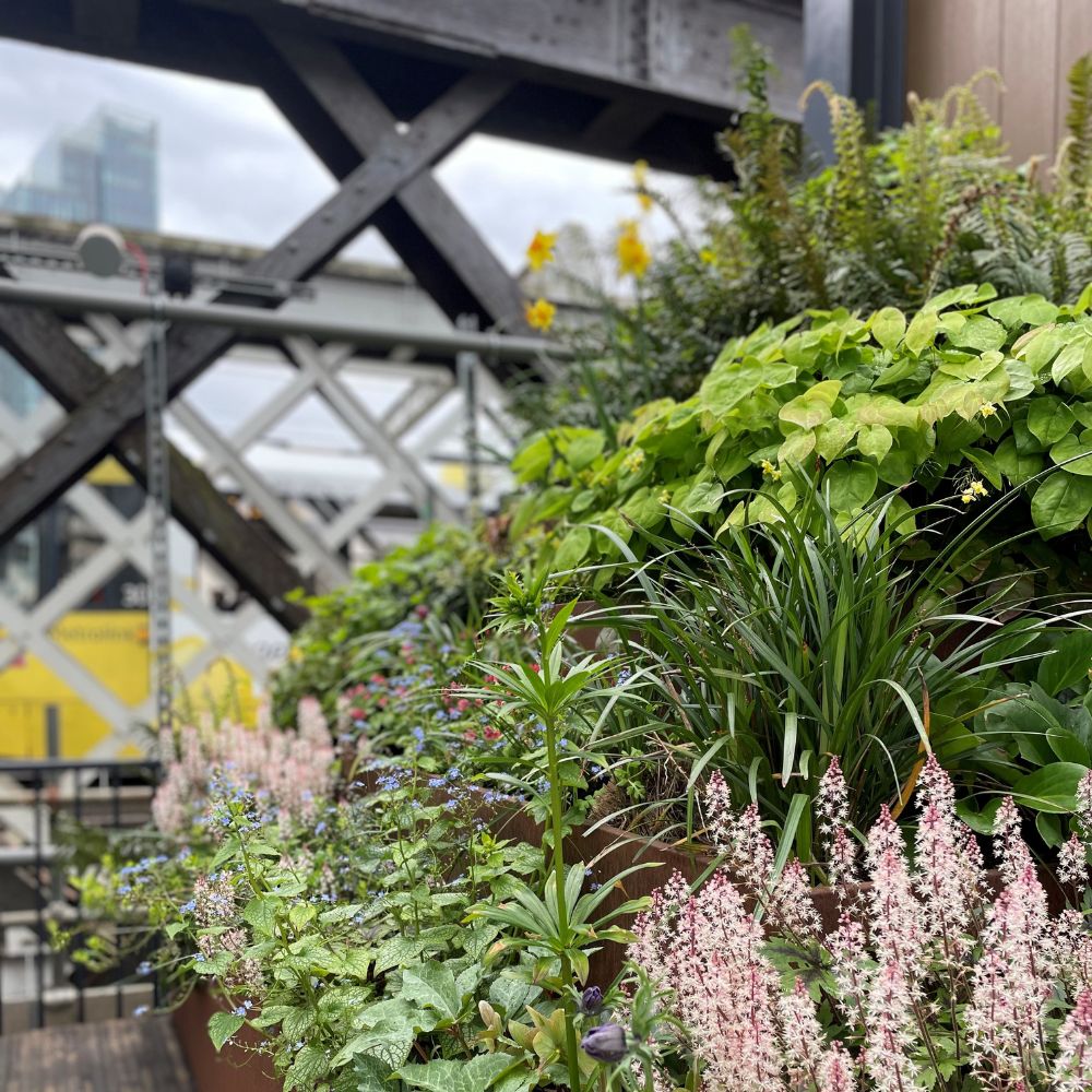 Photograph shows an array of flowers and other plants growing on a 330-metre stretch of steel overpass, along which goods were transported during the height of industrial Manchester. The Manchester skyline can just be seen behind the viaduct.