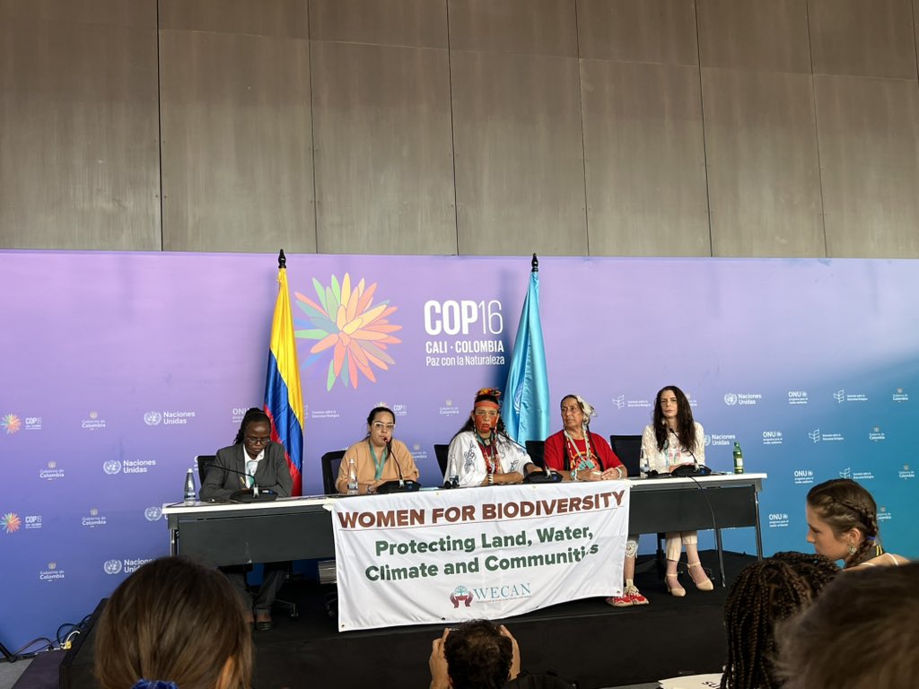 A group of women sit in front of a desk on stage at COP16 the desk has a banner which reads 'Women for Biodiversity'