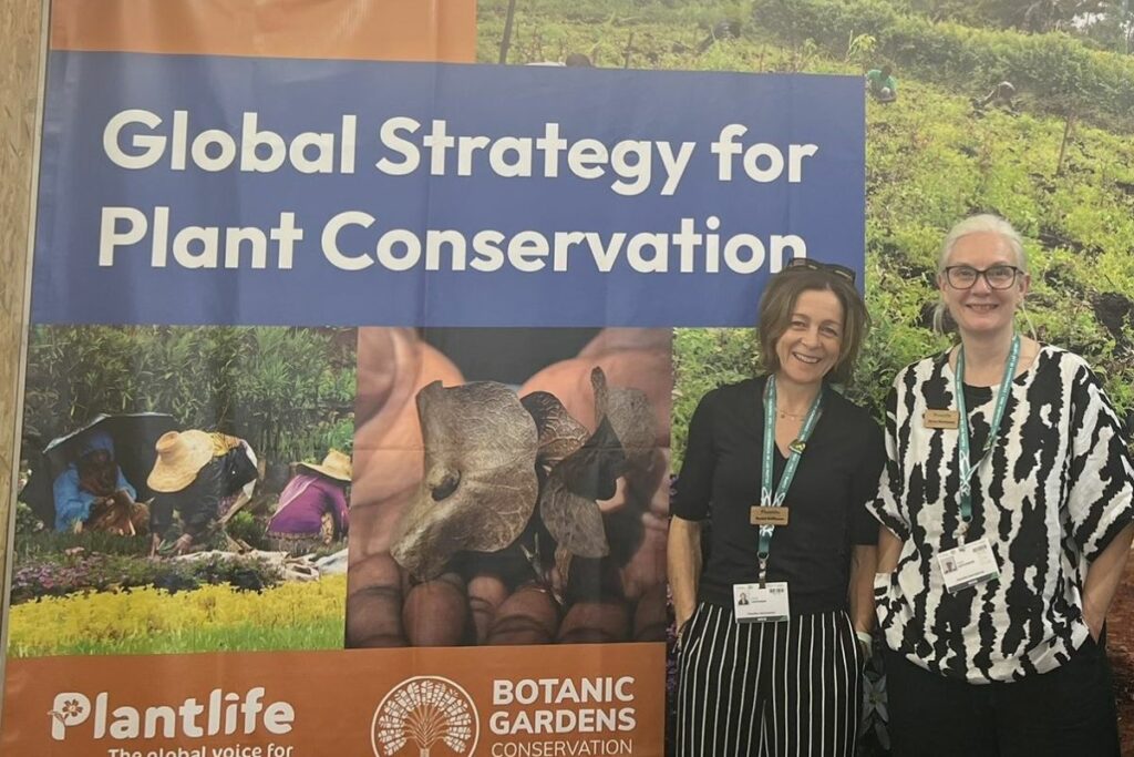 Two Plantlife staff stand in front of a large sign which reads 'Global Strategy for Plant Conservation' at COP16