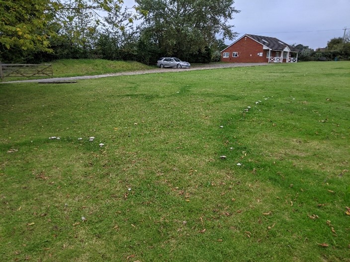 Fairy Ring Champignon creates rings of mushrooms, which can be seen even when the fungi are not fruiting as the ring creates a different look to the grass. This is shown in the image. A large expanse of grass can be seen with parked cars and trees in the background. In the foreground the beginnings of a 'fairy ring' can be seen.
