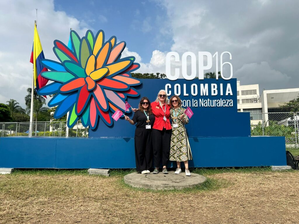 Global team at COP16 in Colombia