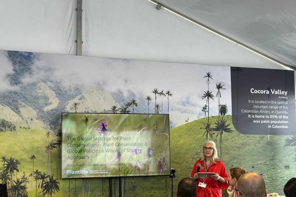 Plantlife's Nicola Hutchinson giving a speech at COP16