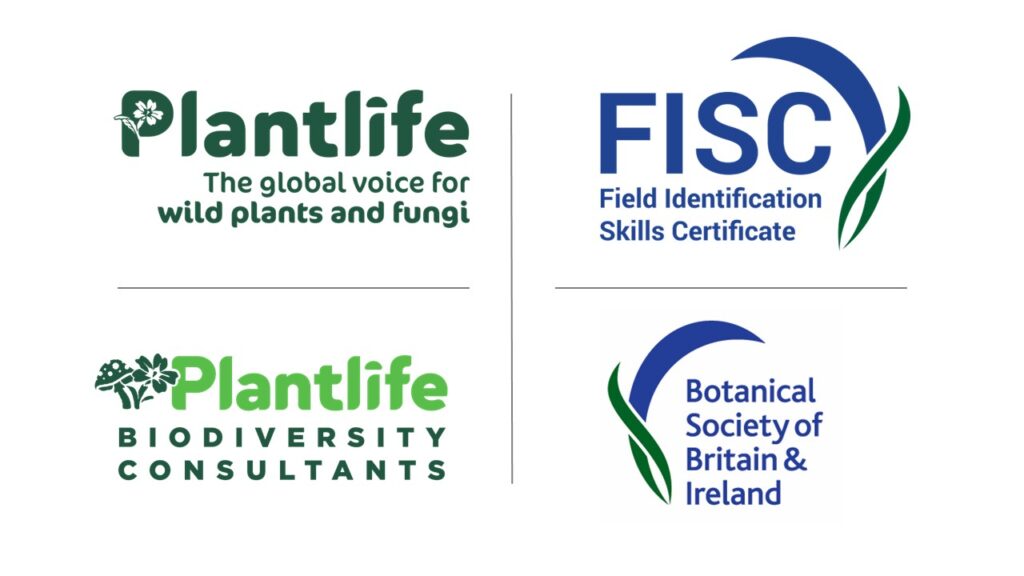 Plantlife Mock Field Identification Skills Certificate (FISC ...