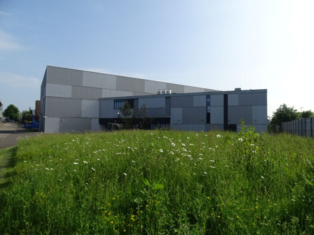 No Mow May area of longer grass and wildflowers in front of large building